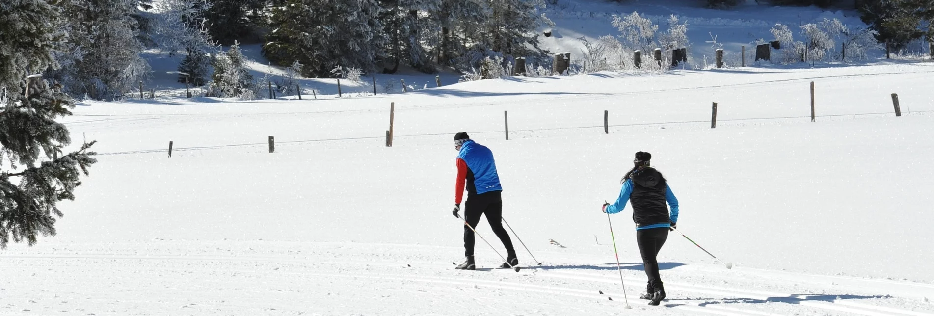 Cross-Country Skiing Lachtal high-altitude trail - Touren-Impression #1 | © Tourismusverband Region Murau